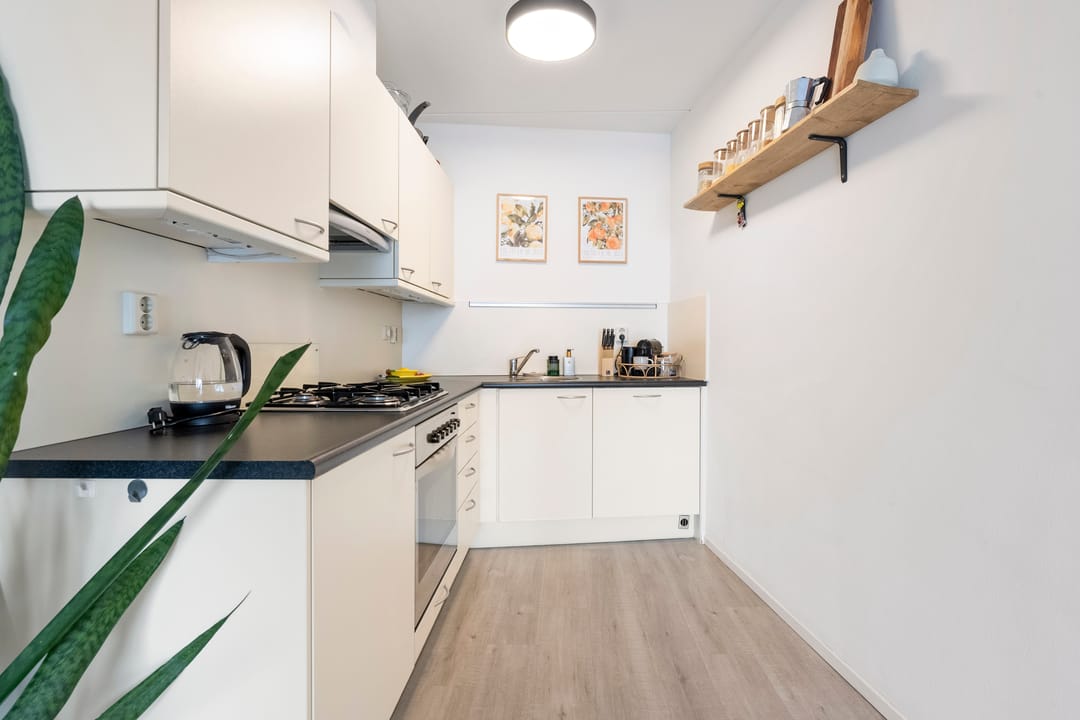 Foto 16 van Zuider Buiten Spaarne 150