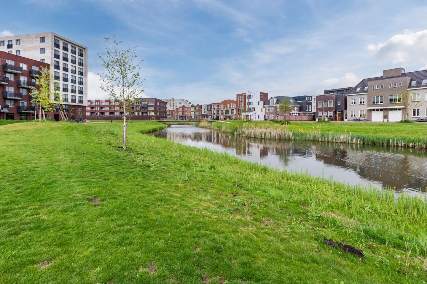 Photo 50 of Ponte di Rialto 31