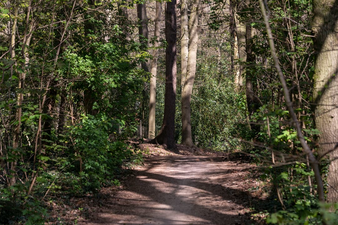 Foto 37 van Klokkegat 14