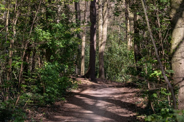 Foto 37 van Klokkegat 14