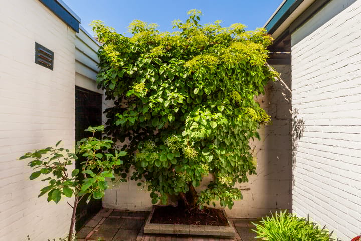 Foto 26 van Arnold Hoogvlietstraat 52