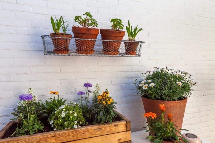 Foto 27 van Arnold Hoogvlietstraat 52