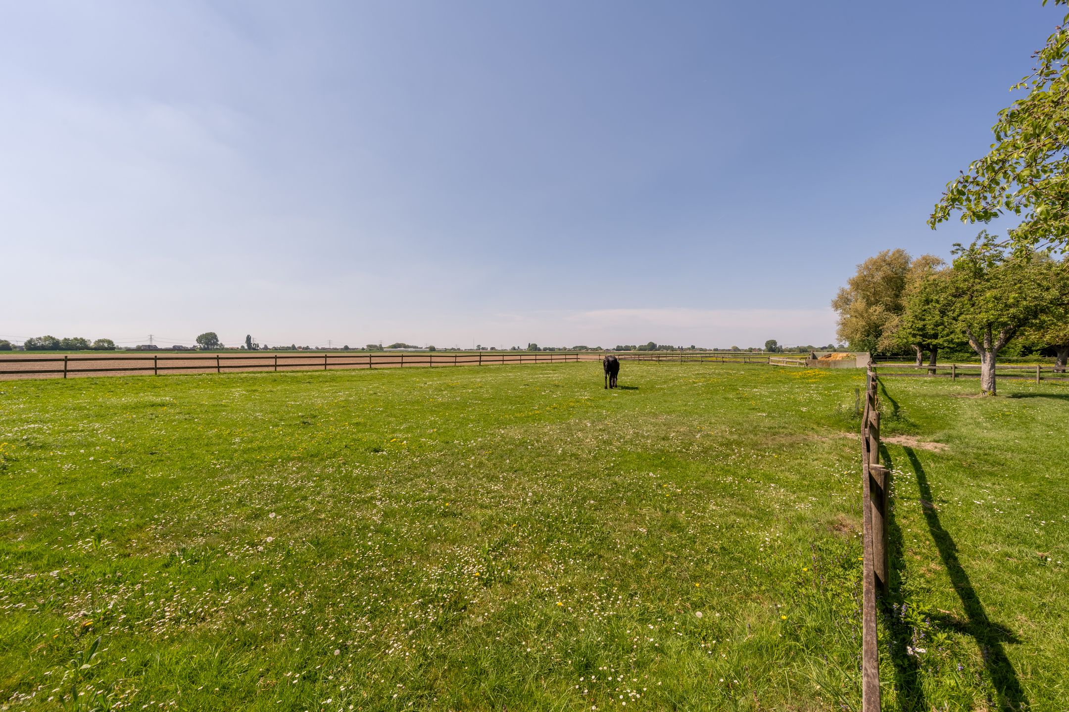 Foto 42 van Westdijk 97