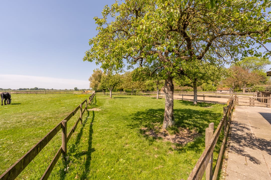 Foto 43 van Westdijk 97