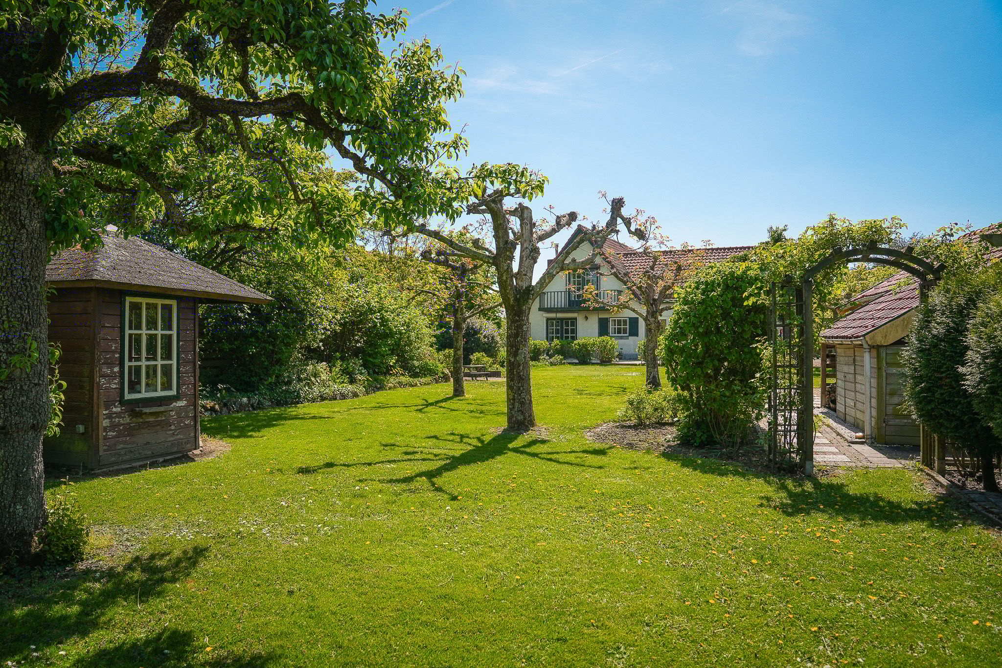 Foto 6 van Lageweg 3