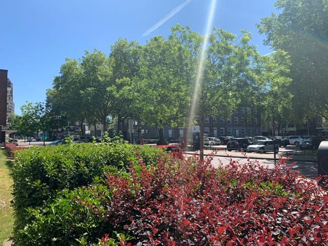 Foto 17 van Burgemeester Edo Bergsmalaan 68