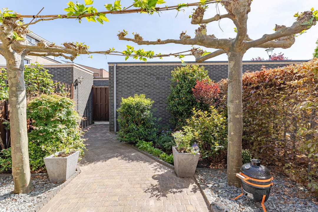 Foto 11 van Pippeling 62