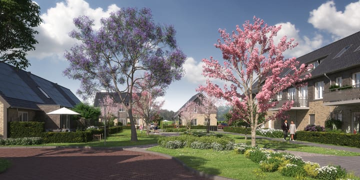 Foto 6 van Rietgors 26