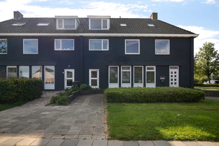 undefined main image