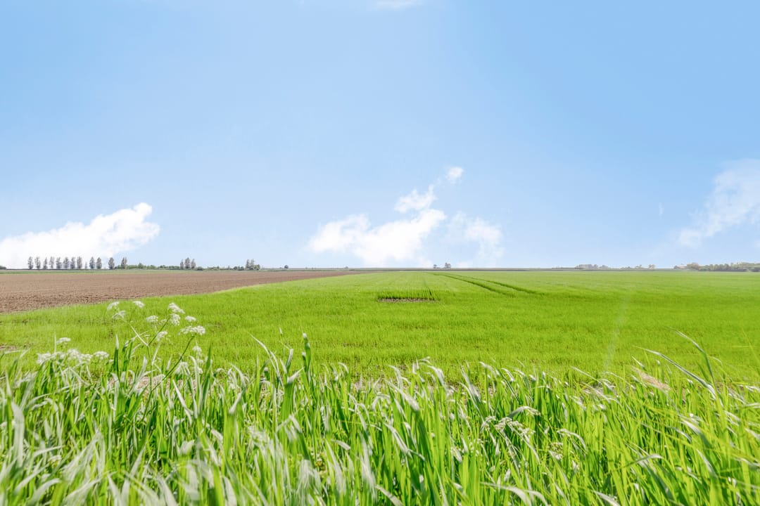 Foto 31 van van Tilburghstraat 12