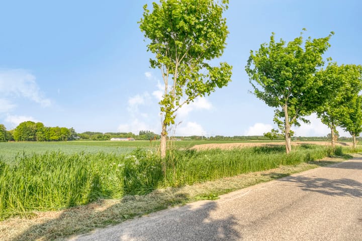 Foto 32 van van Tilburghstraat 12