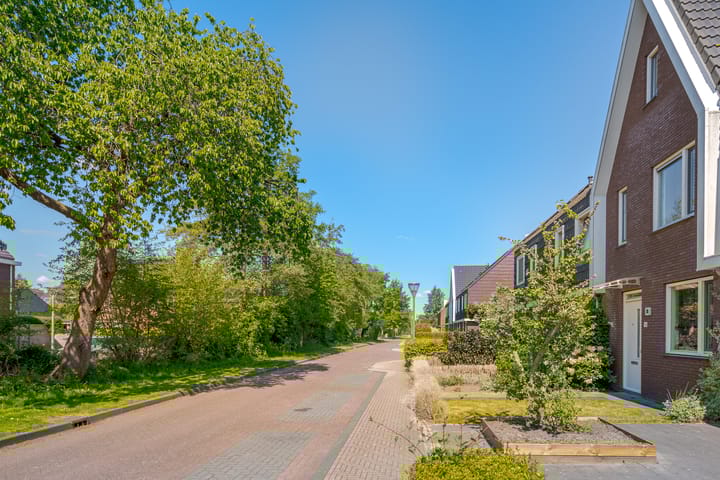 Foto 6 van Populier 16