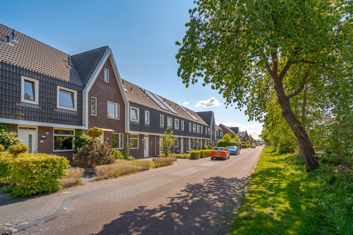 Foto 7 van Populier 16