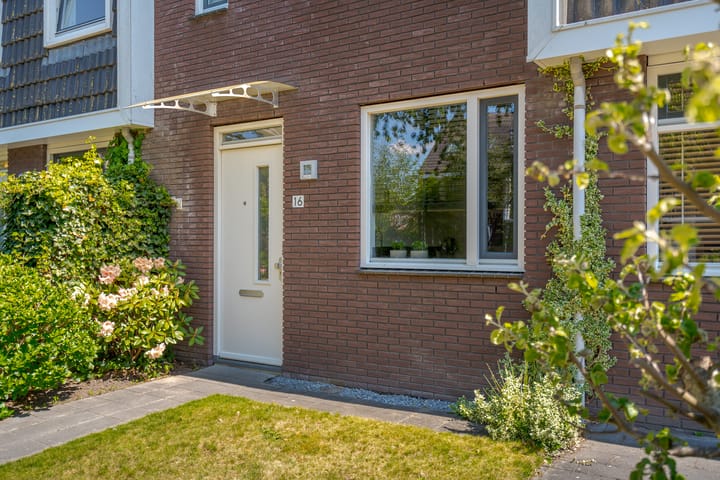 Foto 8 van Populier 16