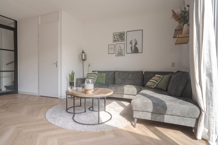 Foto 12 van Populier 16