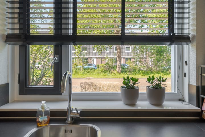 Foto 17 van Populier 16