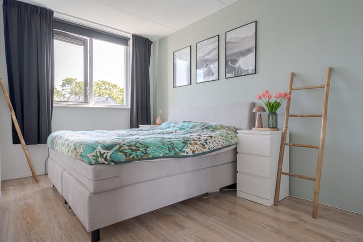 Foto 24 van Populier 16