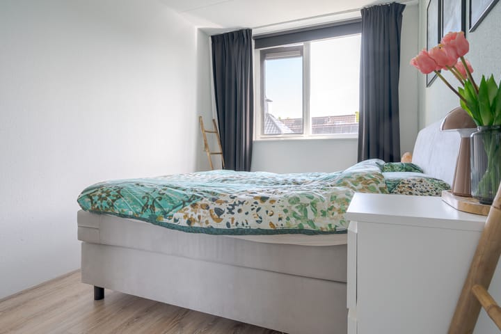 Foto 25 van Populier 16