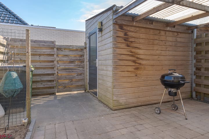 Foto 40 van Populier 16