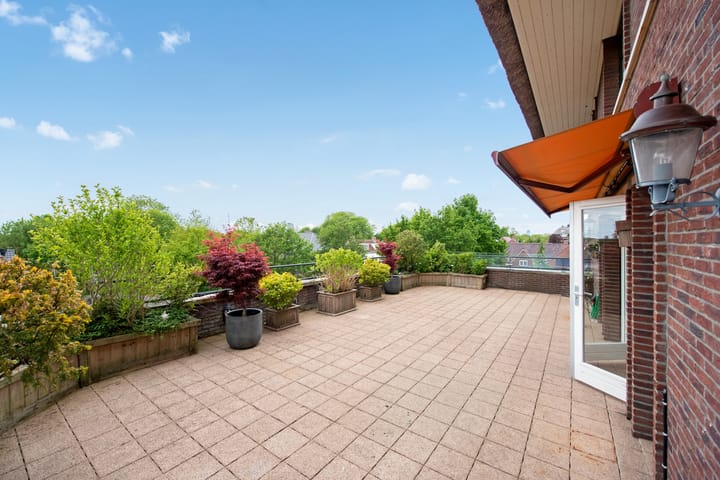 Foto 15 van Wingerd 38