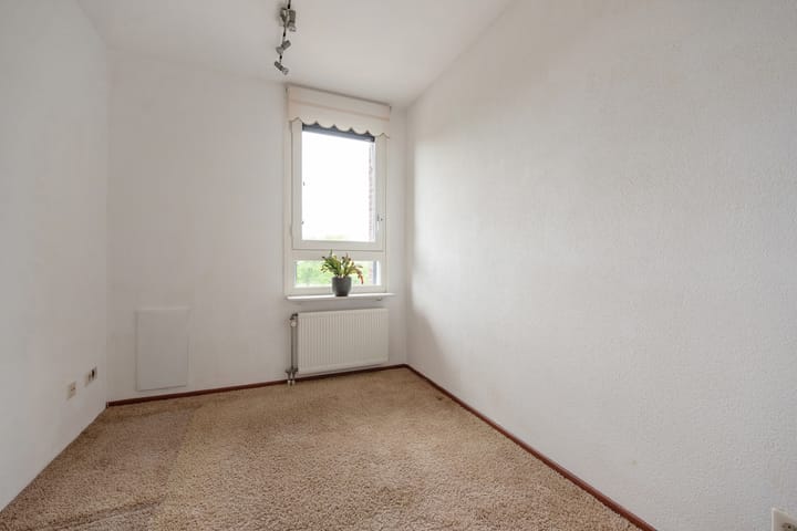 Foto 19 van Wingerd 38