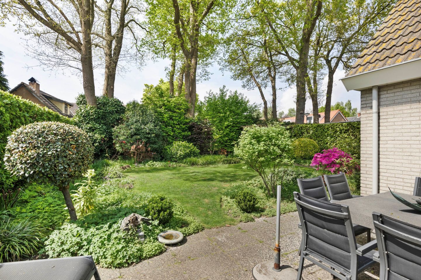 Foto 4 van Kriekebos 35