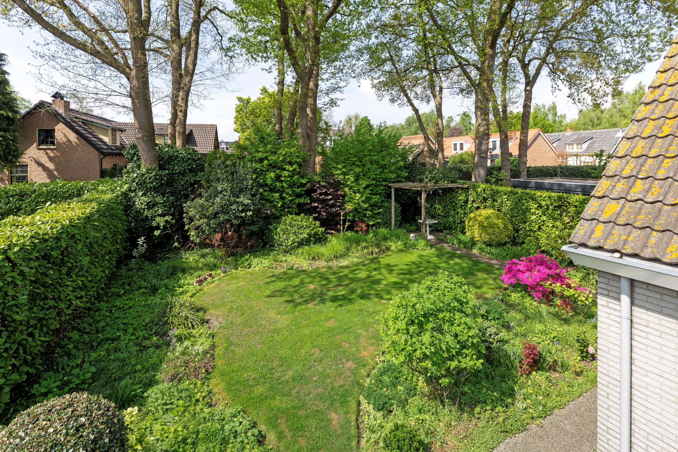 Foto 30 van Kriekebos 35