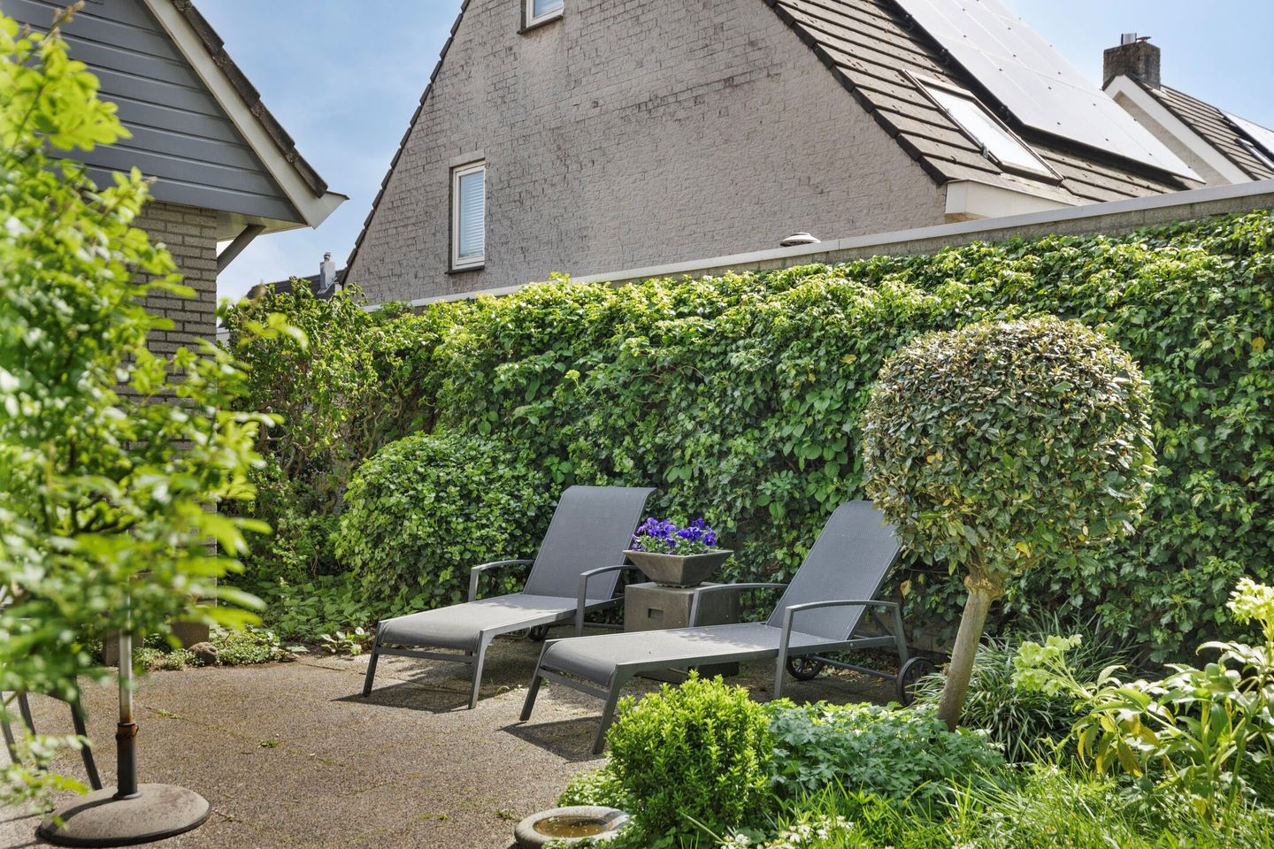 Foto 35 van Kriekebos 35