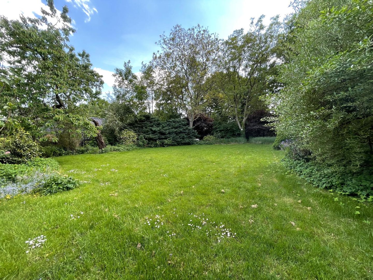 Foto 34 van Maasstraat 3