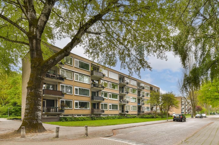 Foto 1 van Pruimenlaan 60