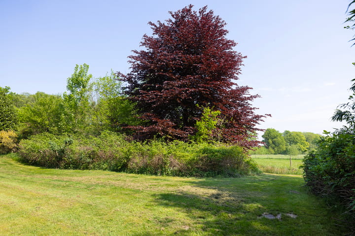 Photo 71 of Biltseweg 49