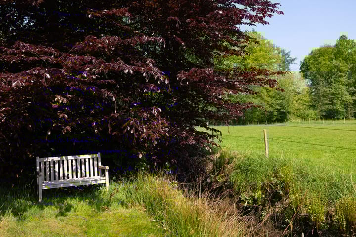 Photo 73 of Biltseweg 49