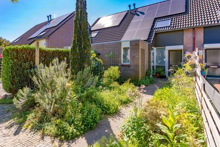 Foto 1 van Veldakkers 51