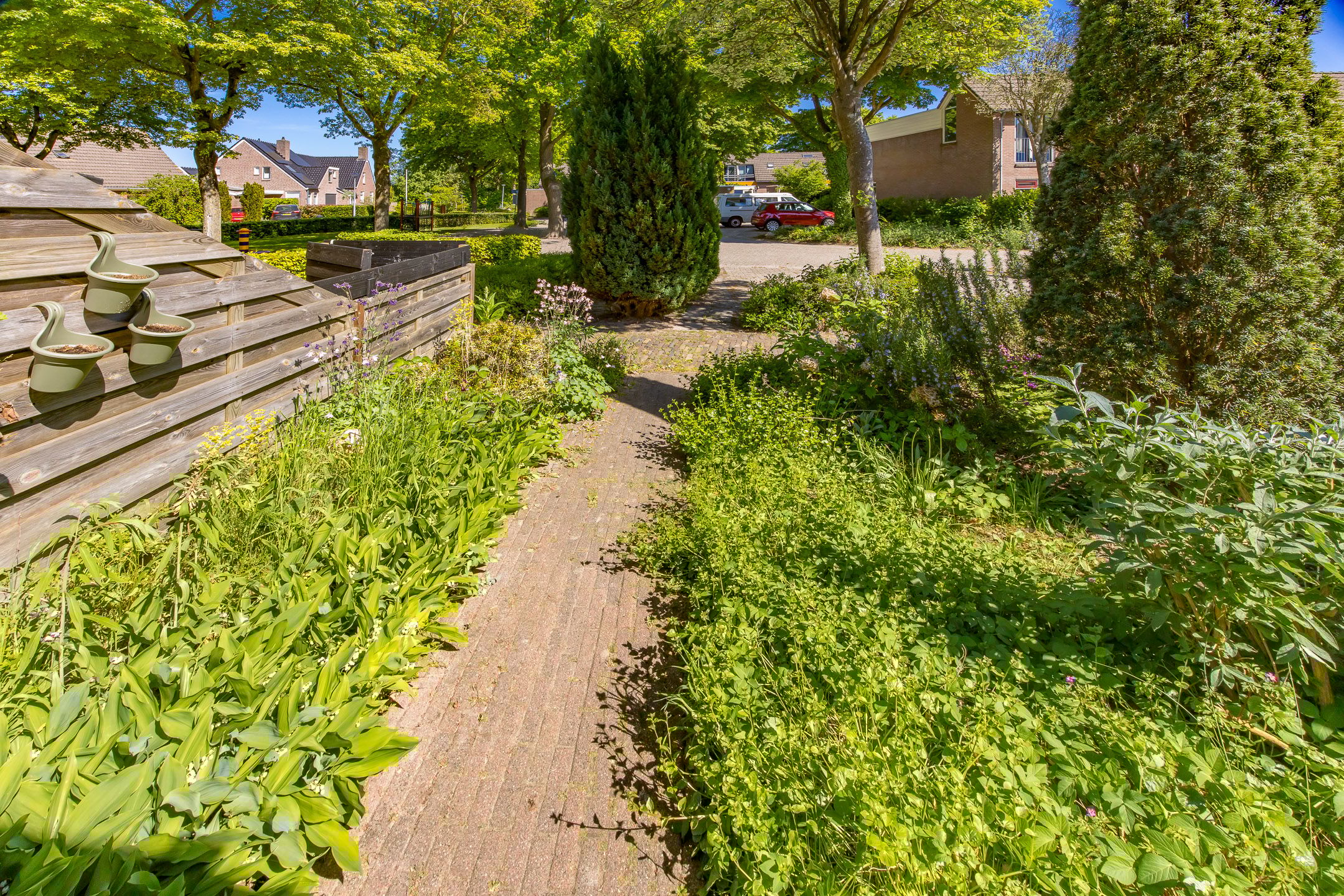 Foto 3 van Veldakkers 51