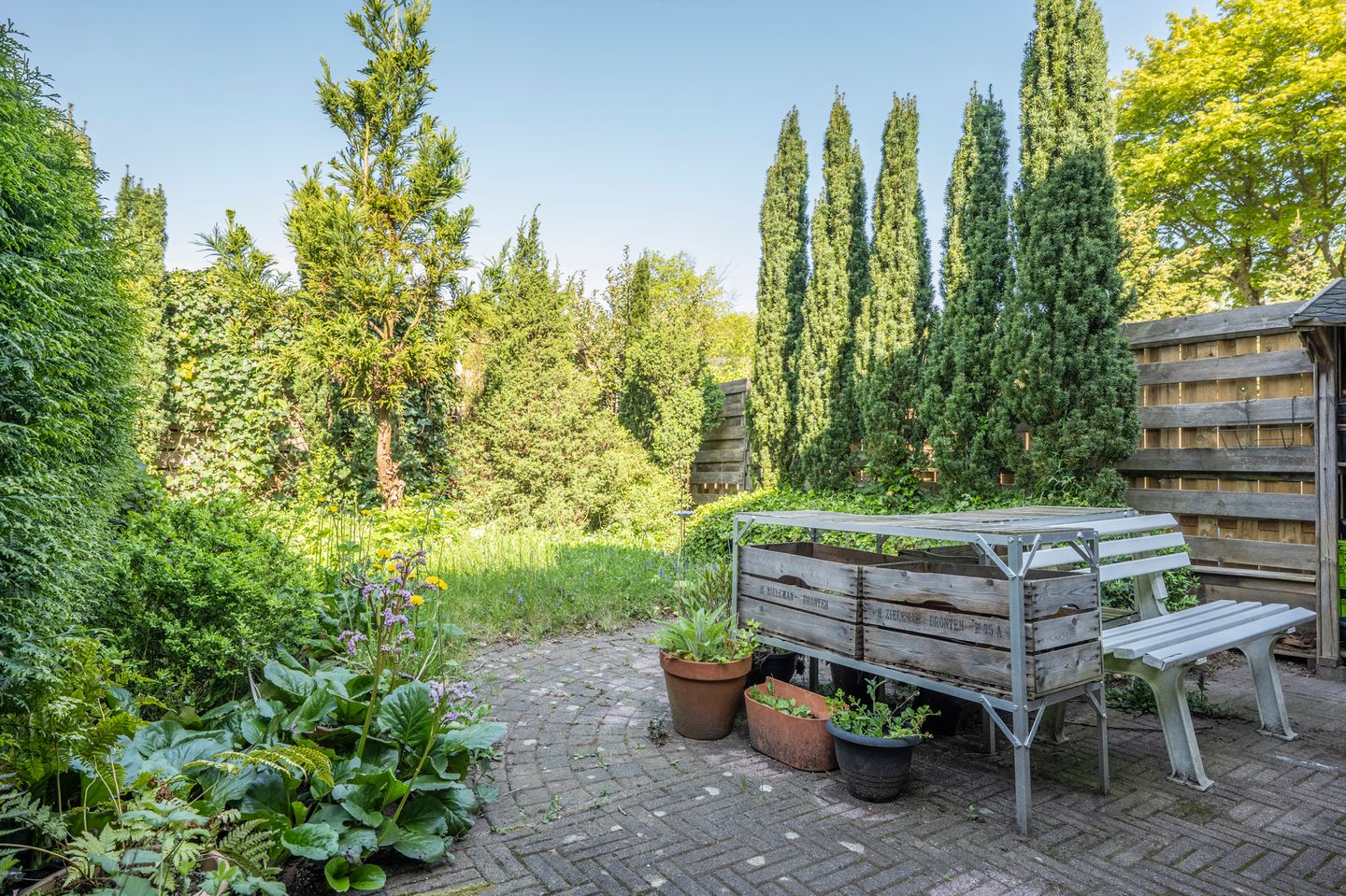 Foto 19 van Veldakkers 51