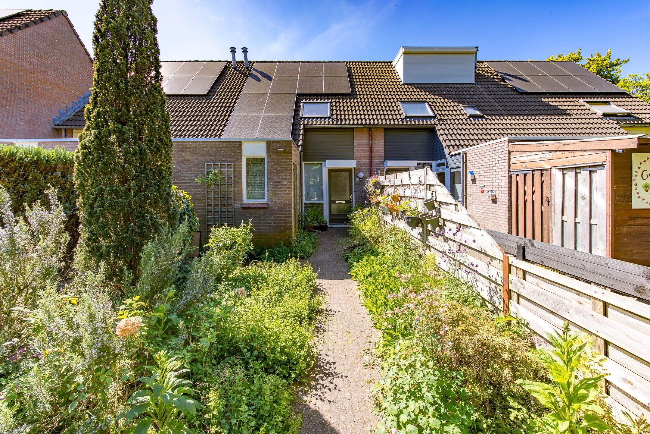 Foto 21 van Veldakkers 51