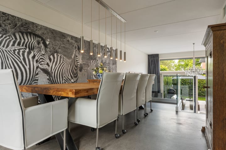 Foto 14 van Virgo 73