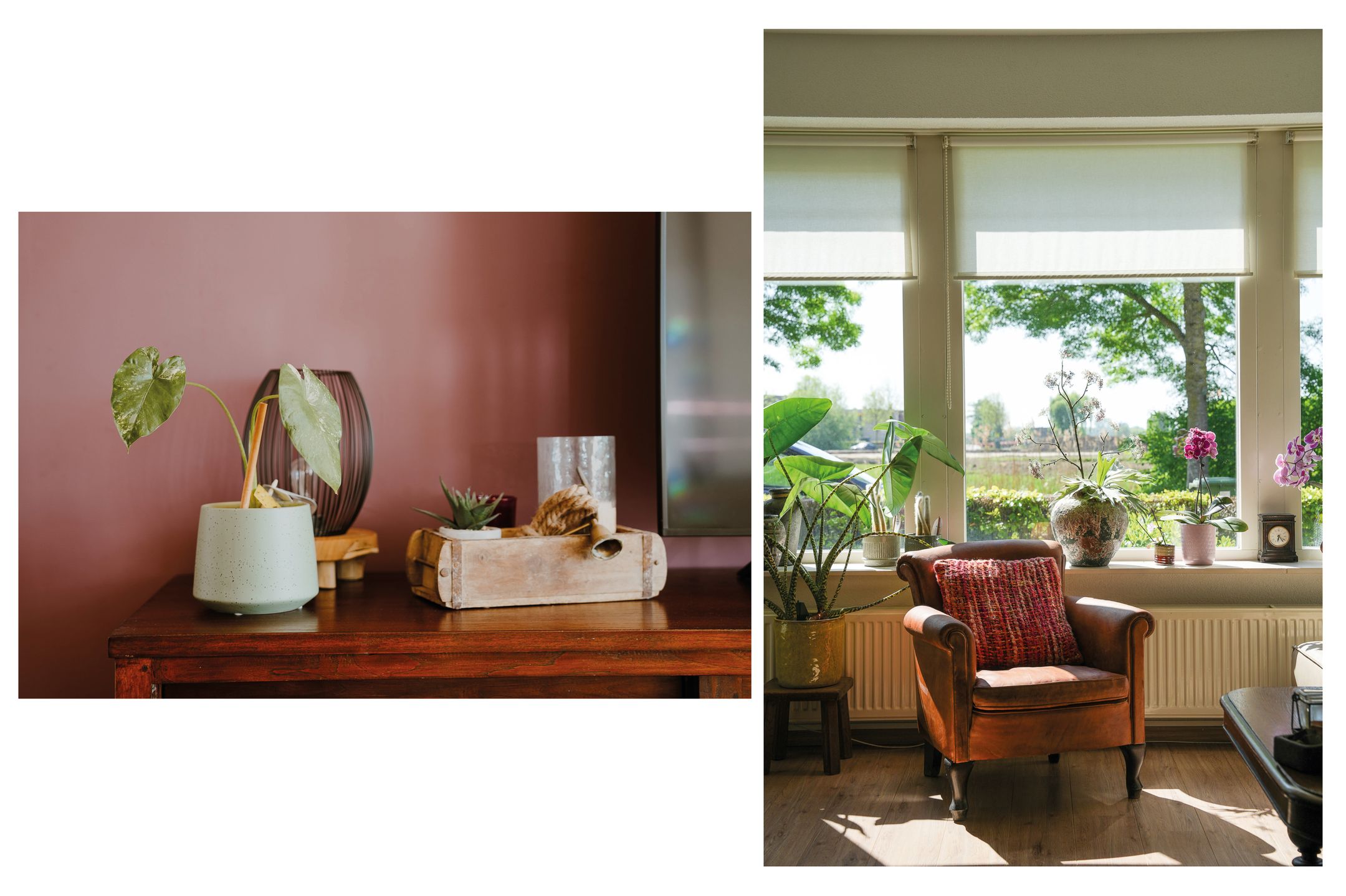 Foto 6 van Ossenwaard 20