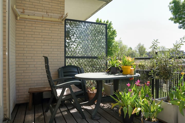 Foto 13 van Ossenwaard 20