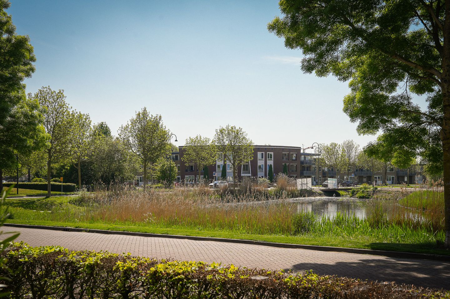 Foto 14 van Ossenwaard 20