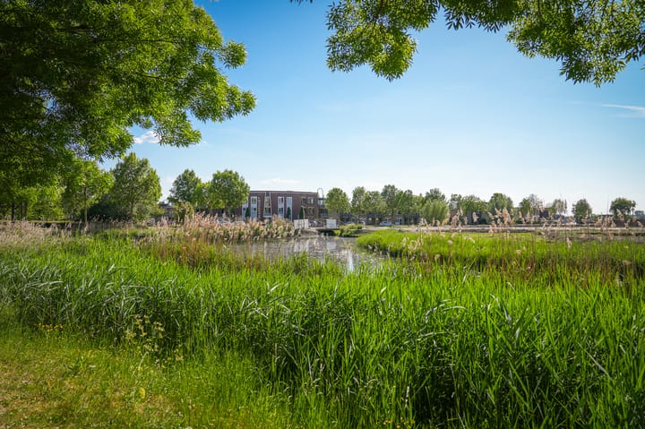 Foto 35 van Ossenwaard 20