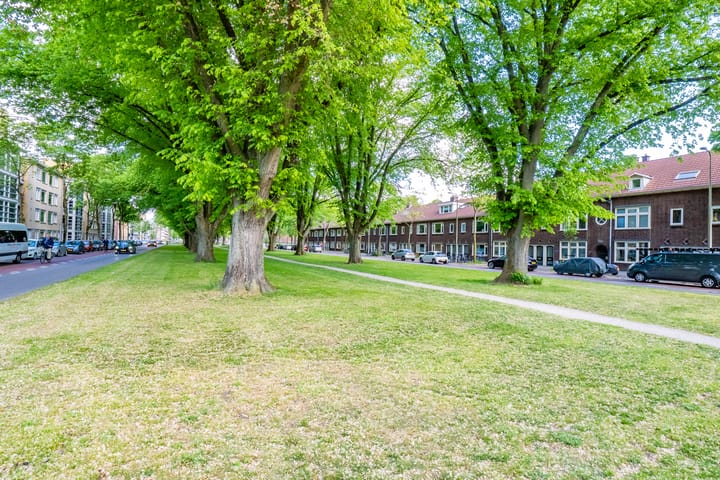 Photo 40 of F. Koolhovenstraat 101