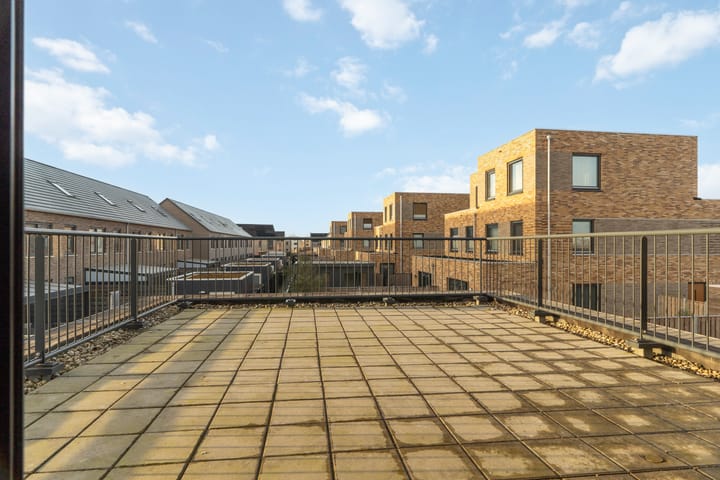 Photo 37 of Liesgras 11