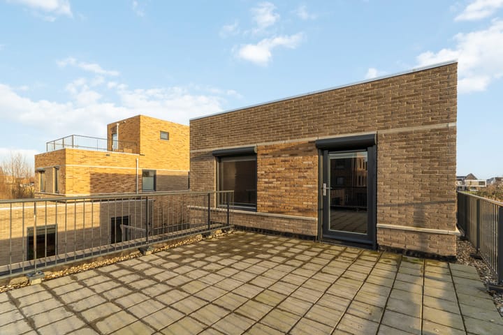 Photo 38 of Liesgras 11