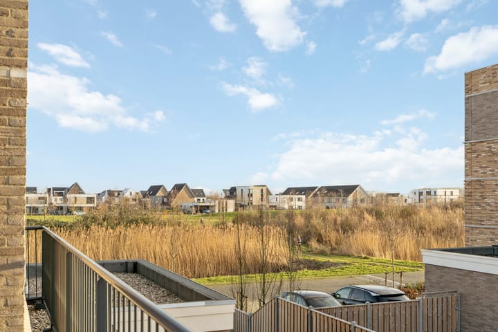 Photo 39 of Liesgras 11