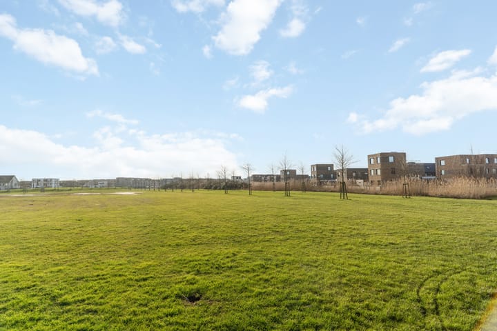 Photo 59 of Liesgras 11