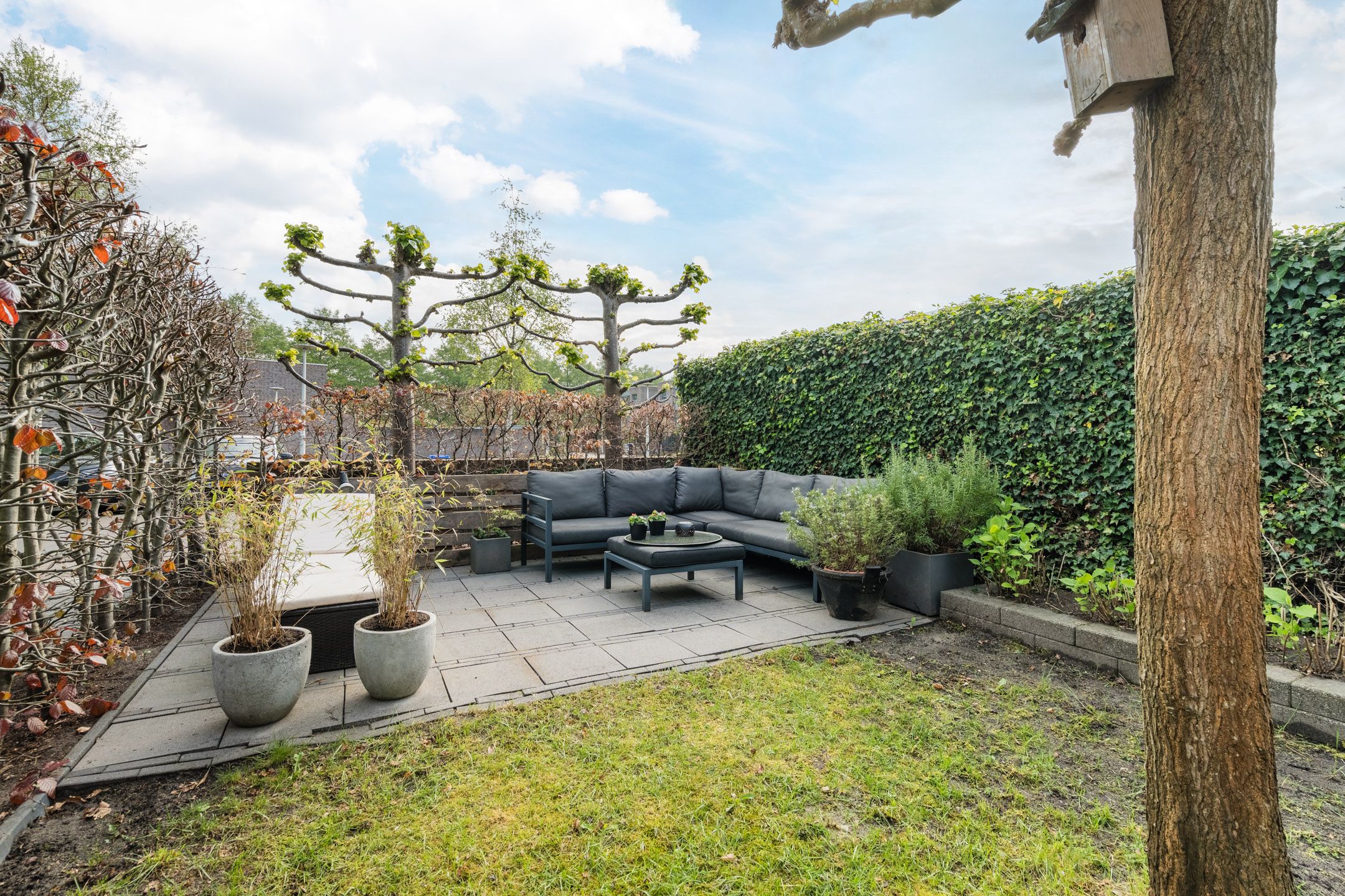 Foto 54 van Leo Fallplantsoen 12