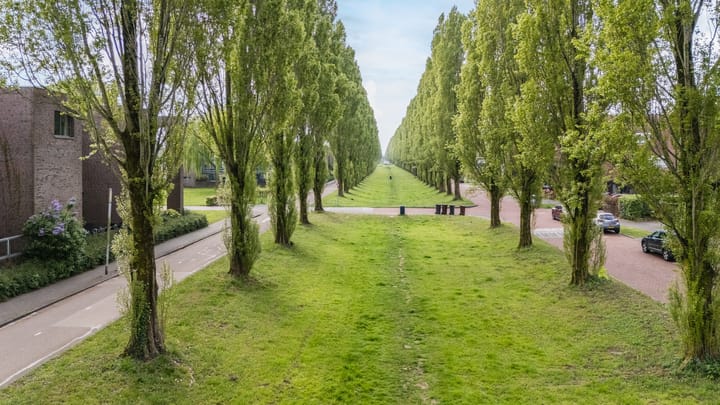 Foto 65 van Leo Fallplantsoen 12