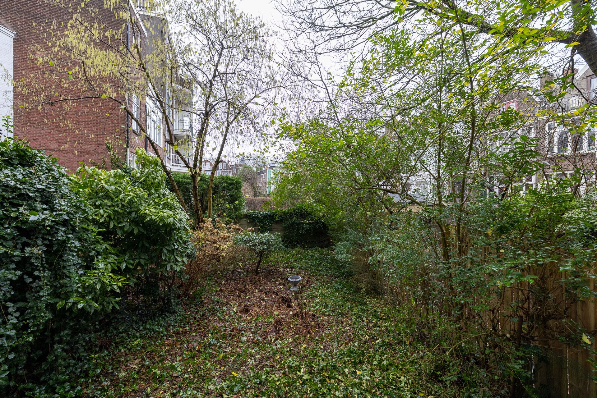 Foto 15 van Bergsingel 174-B