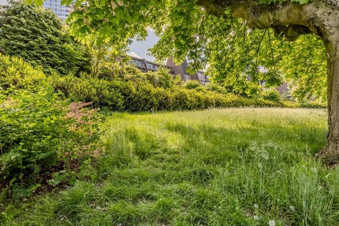 Foto 61 van Veldmaarschalk Montgomerylaan 297